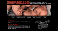 Desktop Screenshot of bearpass.com